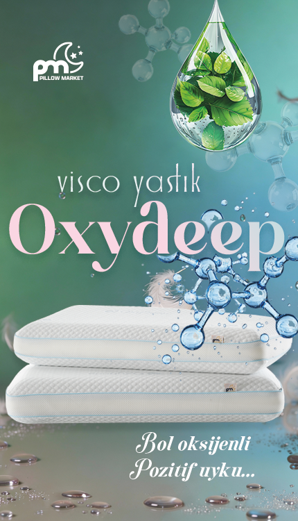 Premium Visco Pillow